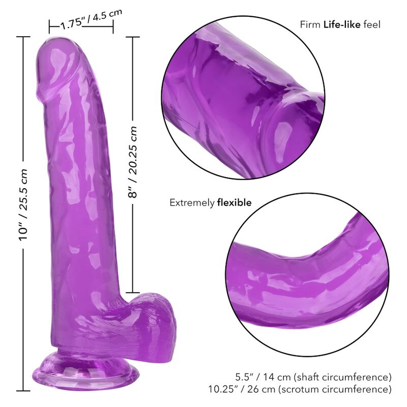 CALEXOTICS - DILDO TAMAÑO QUEEN MORADO 20,3 CM
