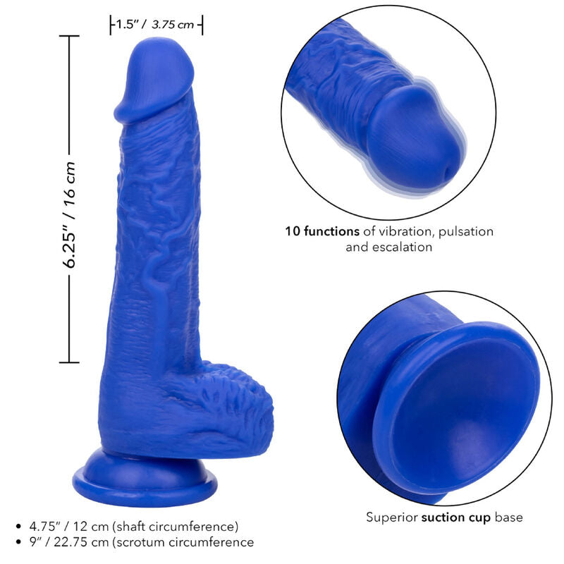 CALEXOTICS - VIBRADOR DILDO REALISTA ADMIRAL SAILOR AZUL