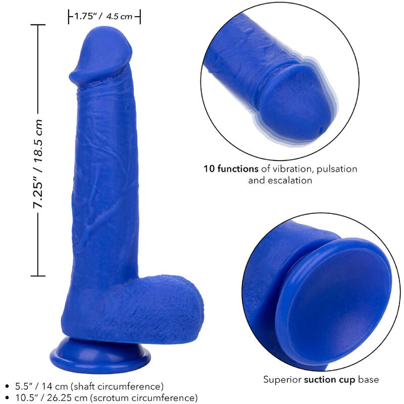 CALEXOTICS - VIBRADOR DILDO REALISTA ADMIRAL CAPTAIN AZUL
