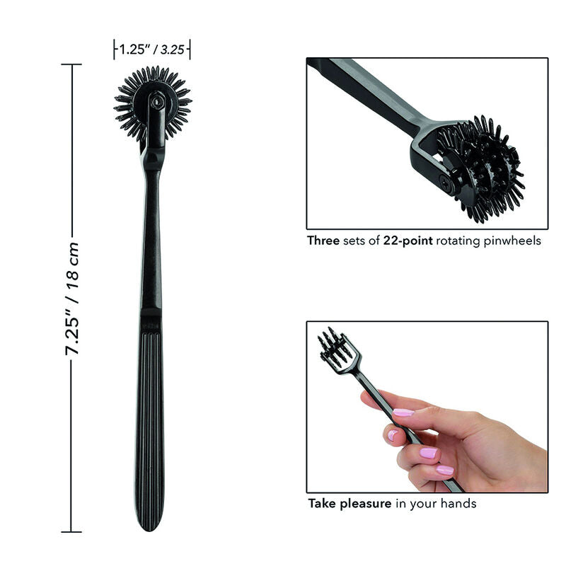 CALEXÓTICOS - RODA DO PRAZER TRIO SEM LIMITES