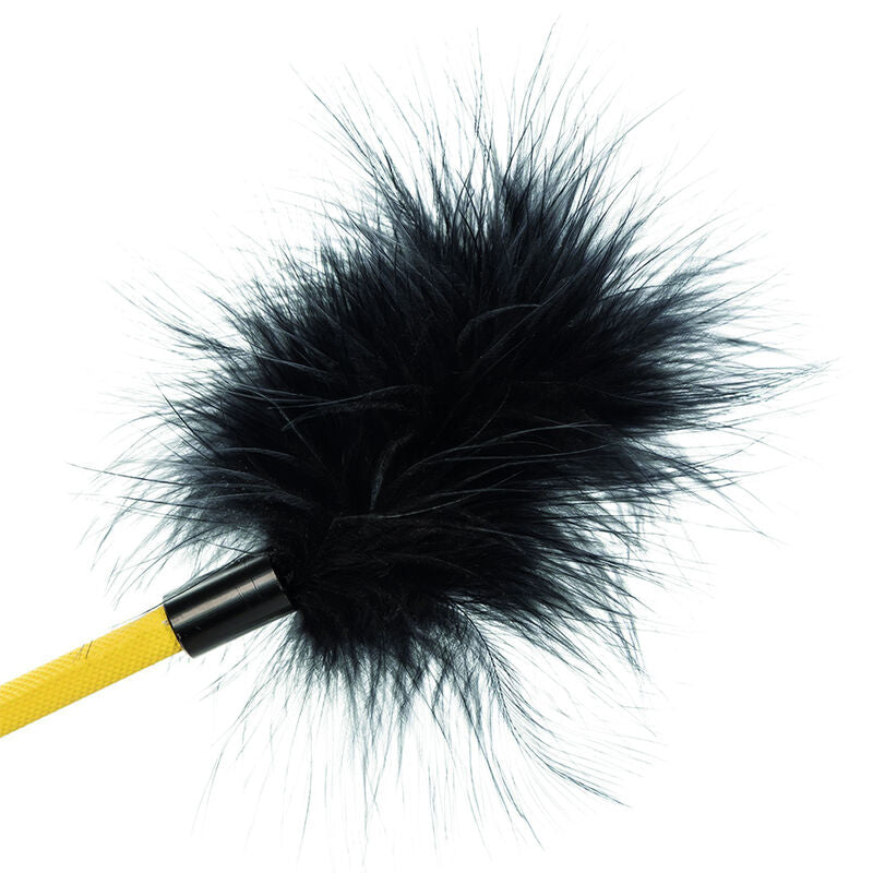 CALEXOTICS - CULTIVO DE PLUMAS SIN LÍMITES