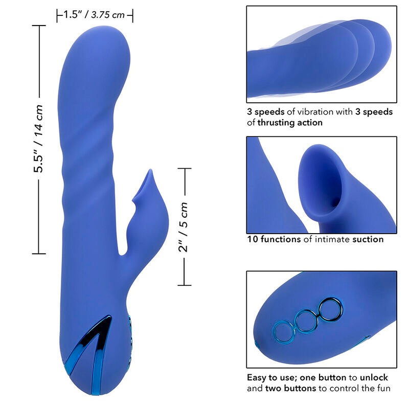 CALEXOTICS - L.A LOVE VIBRATOR & SUCTION BLUE BY CALIFORNIA DREAMING