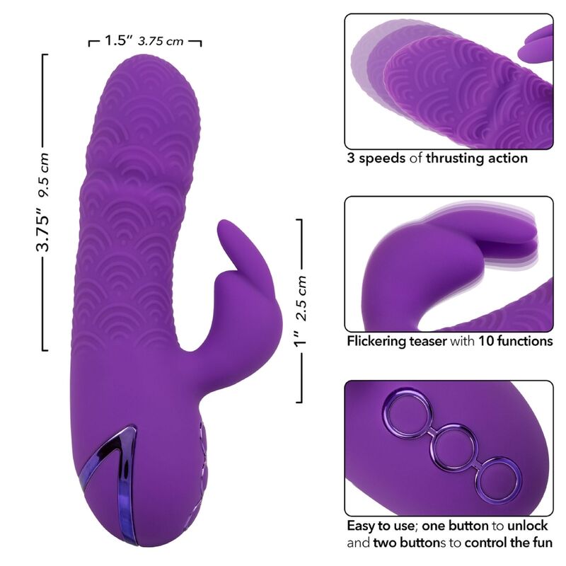 CALEXOTICS - MANHATTAN BEACH MARVEL VIBRADOR CONEJO MORADO DE CALIFORNIA DREAMING