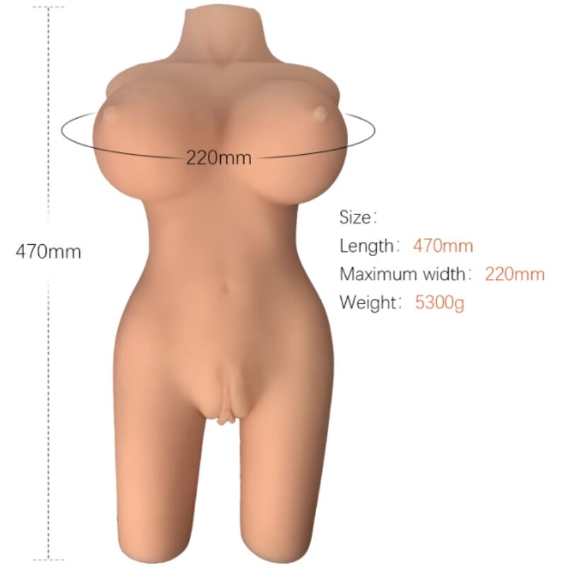 ARMONY - MODELO REALISTA DE TORSO FEMININO 6