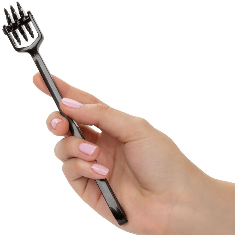 CALEXÓTICOS - ESCÂNDALO RODA TRIPLA DO PRAZER