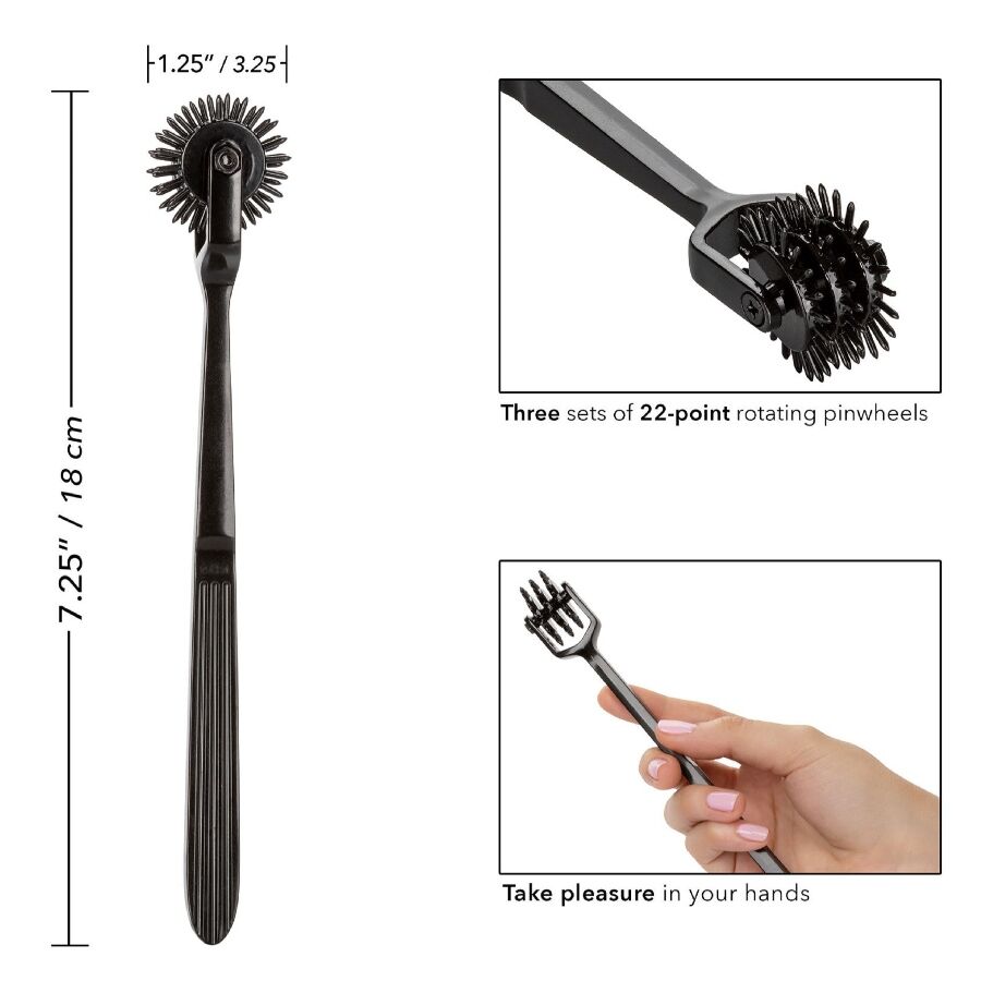 CALEXÓTICOS - ESCÂNDALO RODA TRIPLA DO PRAZER