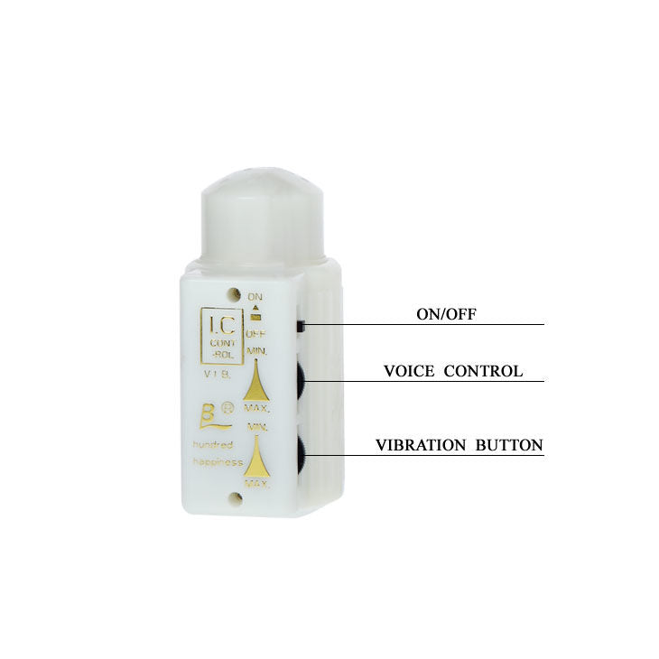 BAILE - MR BIG MASTURBADOR REALISTA DE PENE Y ANO