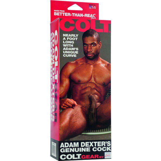 CALEXOTICS - EL POLLO DE COLT ADAM DEXTERS